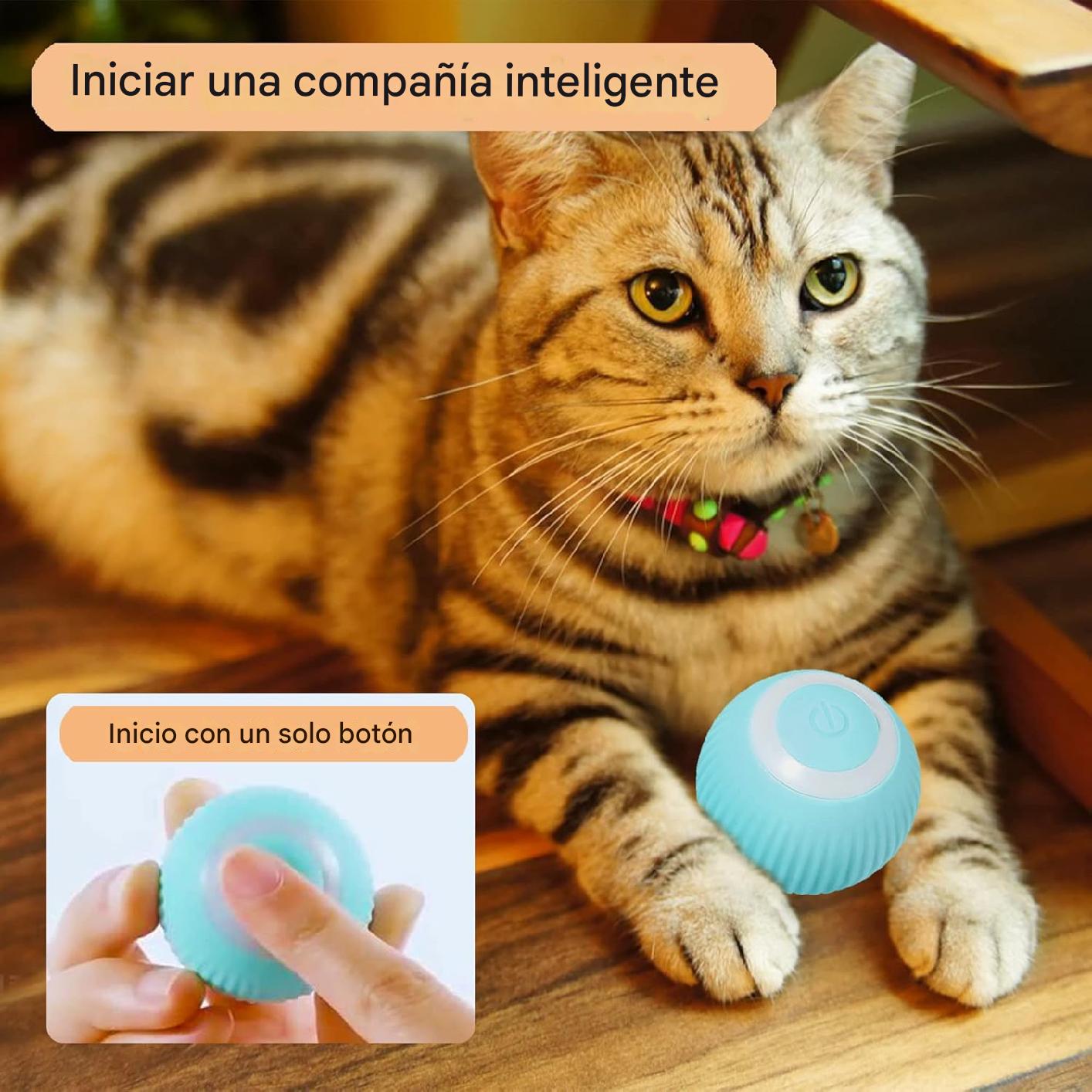 La Pelota Inteligente que Hará Feliz a tu Gato ¡Horas de Diversión Sin Fin!