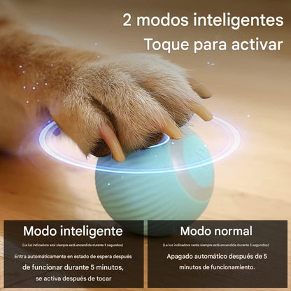 La Pelota Inteligente que Hará Feliz a tu Gato ¡Horas de Diversión Sin Fin!